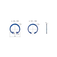 Beneri® Axially Mounted Internal Retaining Rings for Bores - 2