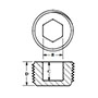 Hex Socket Plugs for National Pipe Thread (NPT) Threads and Fittings - 2